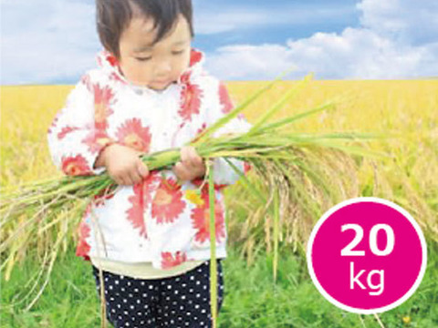 新米 令和4年 ミルキークイーン 一等米 白米 20kg （5㎏×4袋）岡山の雪国産