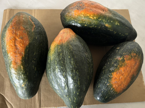 【サラダカボチャ】訳あり　有機かぼちゃ　万次郎生まるごと　４個入（約8.4kg）