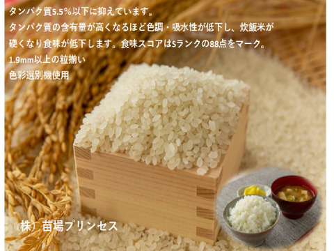 贅沢なパックごはん！魚沼産コシヒカリ特別栽培米〈20パック〉