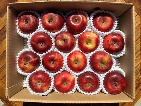 小玉べにこはく！【スマートフレッシュりんご家庭用約3ｋｇ×2箱】（玉数指定不可）