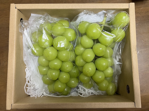 超ご家庭用！ シャインマスカット用 1.2kg：山梨県産のシャイン