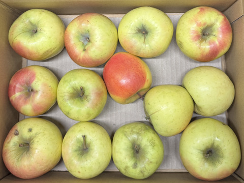 ★残りわずか★【訳あり・バラ詰め・大小込み】ぐんま名月💛約2.7Kg🍏青森県産　数量限定