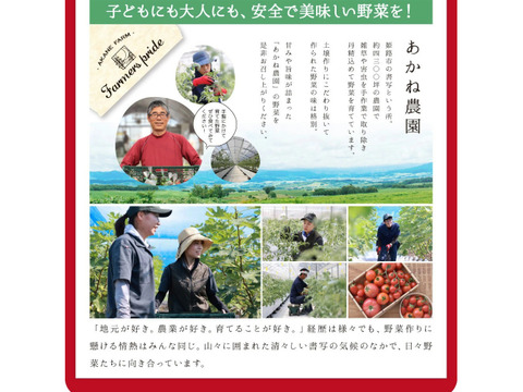 中玉トマト フルティカ 1kg（兵庫県産・農薬不使用）産地直送