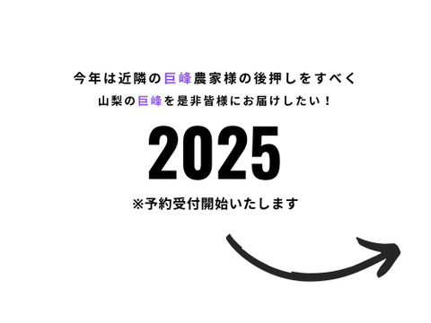 最上級巨峰！山梨県牧丘町からお届け！【先行予約】 紫黒色の宝石 500g×2 予定2025年9月上旬発送