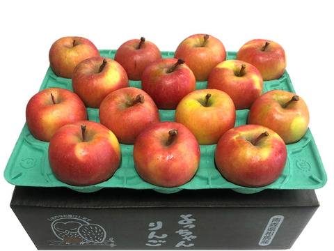 「話題の こうとく !! 」【家庭用】約2.7Kg青森県産 数量限定 高徳 りんご 『話題のリンゴはここみつけたら即買いをお勧めします!!』 林檎 apple