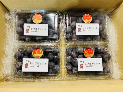 岡山県産ピオーネ（種無し）糖度18度前後　4パック入り箱