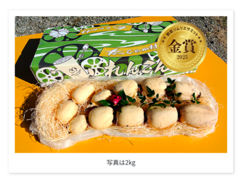 【 2025年野菜ソムリエサミット 金賞 】野菜のプロが認めた美味しさを、掘りたて直送でお手元へ！！ すずきの「口福れんこん」 松  4キロ