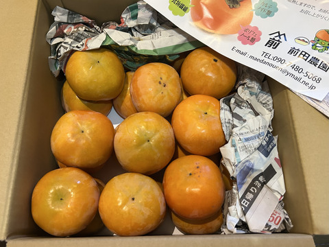 和歌山県産　富有柿　極甘(家庭用)5kg　M～2Lサイズ