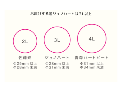 【常温便】青森が贈る宝物『ジュノハート』３Ｌ以上２５０ｇ（２０粒～２４粒入り）