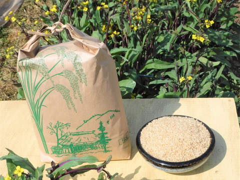 令和4年産 節減対象農薬 コシヒカリ 玄米 5㎏