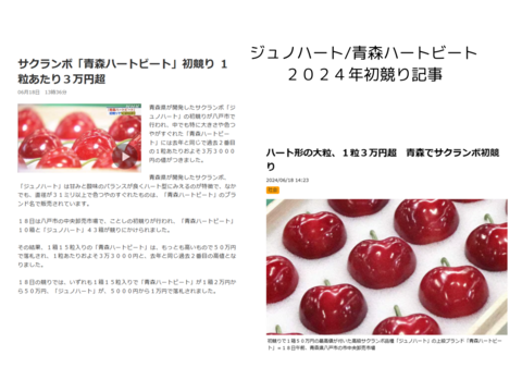 【クール便】★まいハート★青森が贈る宝物『ジュノハート』訳あり品２Ｌ以上２５０ｇ
