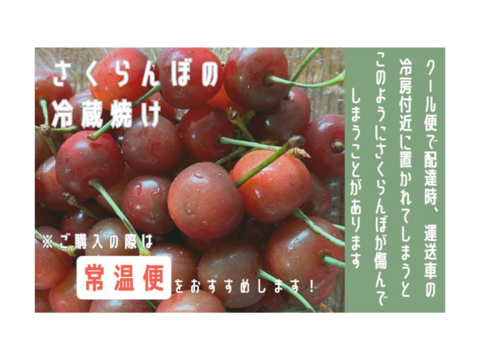 【常温便】朝どりさくらんぼを直送！M～２Lサイズ1kg(500gﾊﾟｯｸ×2）ご自宅用（佐藤錦または紅秀峰）