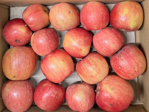 ★すぐに出荷★【加工用バラ詰め】サンふじ約2.7Kg　生食、ジュース、スイーツ、コンポート、すりおろし林檎　加工用・業務用🍎　青森県産