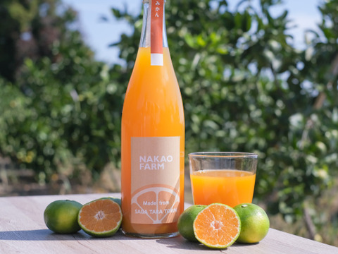 【佐賀県投稿キャンペーン対象商品】ごくごく飲んでみらんね!!みかんジュース3本セット（720ml×3）