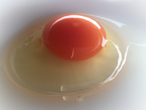 ★平飼い・初たまご50個★酵母を与えて育てた若鶏が産み出して間もない小ぶりなたまご（元気たまご）