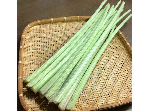 《シャキッとほろ苦い！》ふき『秋田ふき』　3kg