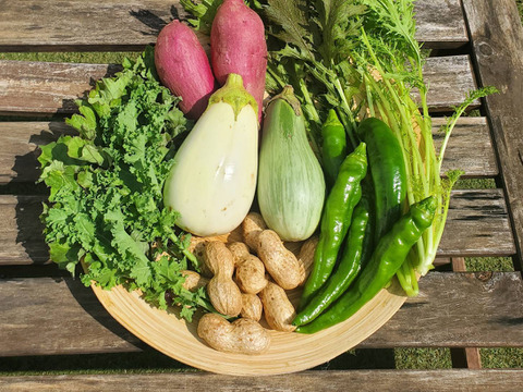 テーマは『カラフル&珍しい』野菜セット(野菜6種類入り)農薬・化学肥料不使用