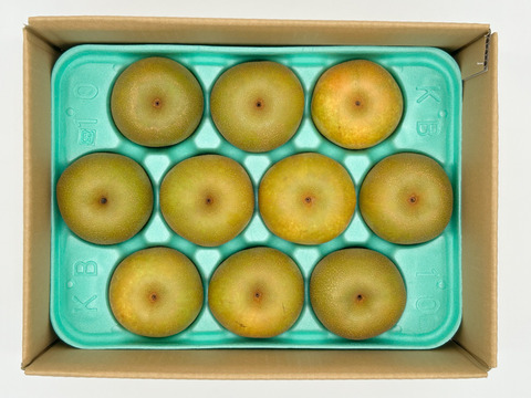 シャリっとした果肉と甘みと果汁の爽やかさ！たかの梨『幸水』中玉３㎏