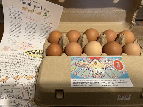 【北海道から】放し飼いコッコの大寒たまご　10個 × 2パック