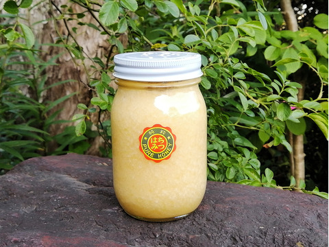 生きた蜂蜜！非加熱＆無添加の日本ミツバチ「にごり発酵蜜」５００ｇ