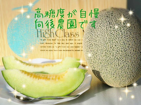 千葉県産!高糖度が自慢のタカミメロン!夏の思い出に!※6月下旬より順次発送予定