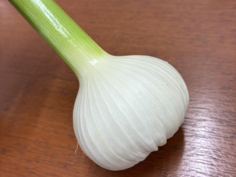 生ニンニク期間限定《農薬化学肥料不使用》愛知県国産1000g（L～2Lサイズ約13個）