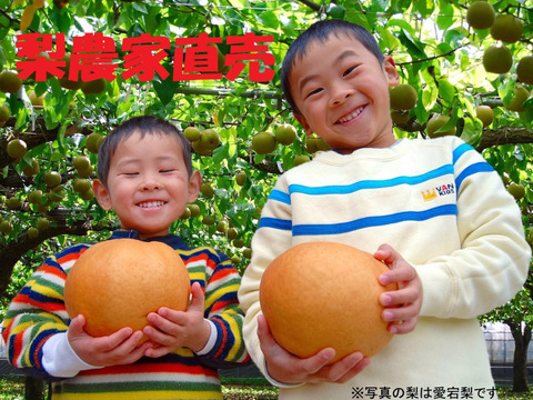 【SORA】二代目川添果樹園のジャンボ新高梨
