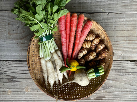 有機JASのお雑煮5種セット❗️【雑煮大根・金時人参・小えび芋・辛味大根・花柚子】お正月をオーガニック野菜で始めよう‼️［発送日12/26、27 限定：到着は遠方以外は翌日］