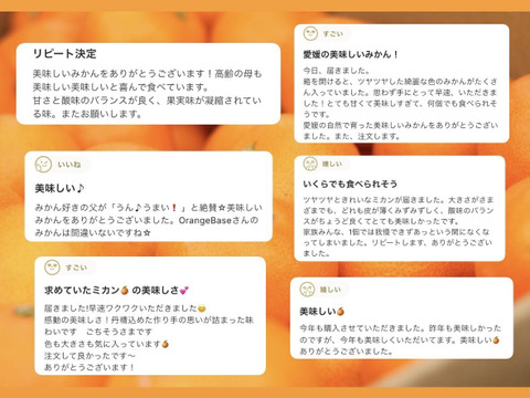 【もう1個だけの無限ループ】暁みかん3kg×2箱　S〜Lサイズ　11月中旬頃発送開始！【愛媛県産】