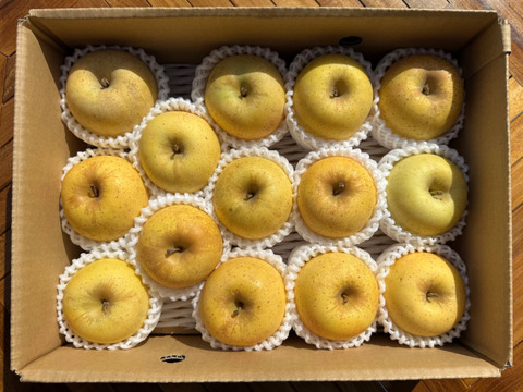 小玉はるか！【スマートフレッシュりんご家庭用約3ｋｇ】（玉数指定不可）