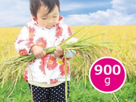 新米 令和4年 ミルキークイーン 一等米 白米 900グラム 岡山の雪国産 お試し