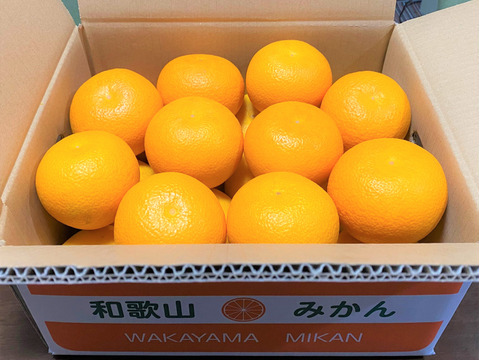 ほろ苦くて上品な甘さの『木成り』八朔(はっさく）和歌山県産 箱込み7.5㎏