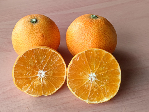 果試２８号★家庭用4.3K