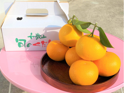 ほろ苦くて上品な甘さの『木成り』八朔(はっさく）和歌山県産