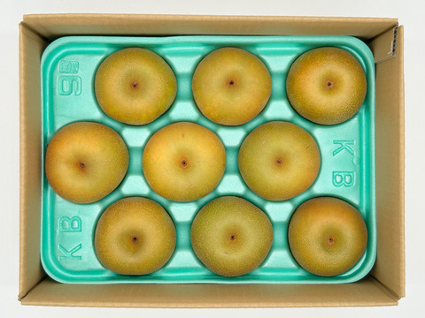 シャリっとした果肉と甘みと果汁の爽やかさ！たかの梨『幸水』中玉３㎏