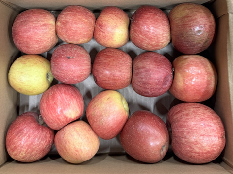 ★残りわずか★葉とらずサンふじ🍎訳ありバラ詰め 約３Kg　青森県産