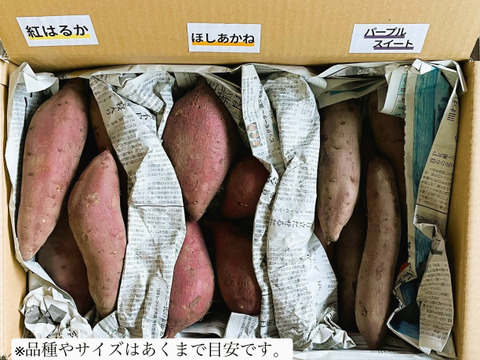 【人気品種を食べ比べ！】山形県庄内産さつまいも3種セット（5kg）
