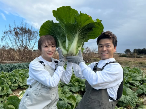 【ヒルナンデス出演】一般市場に流通しない『幻のエンペラー白菜』400年の伝統土壌で培われたブランド白菜【冬ギフト】