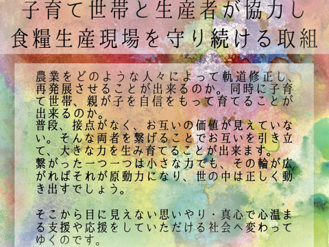 愛され食され40年『雪夏稚くんじゃがいも10kg』レッドムーン新じゃがver.