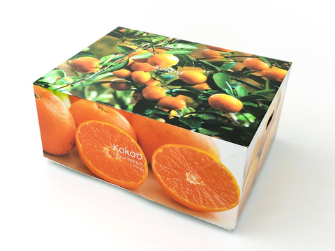 【予約】はるか〈秀品・ギフトBOX〉約2.5kg　※発送は3月上旬頃～