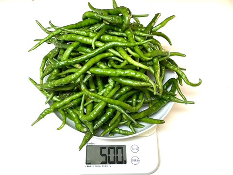 生唐辛子（青）あじめこしょう 群馬県産 500 g