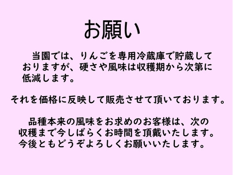 【お買い得✨ワケあり商品】加工用サンつがる3kg(バラ詰め)　青森県産りんご　数量限定