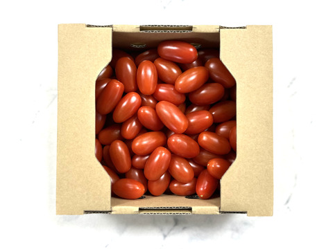 【最新入荷】 ファイトリッチ】千恋ミニトマト1kg：ヘタなし：ギフト 野菜