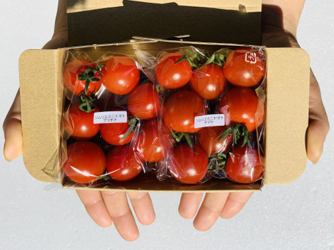 【初回限定お試し】ソムリエミニトマト プラチナ100gとダイヤ100gの食べ比べセット