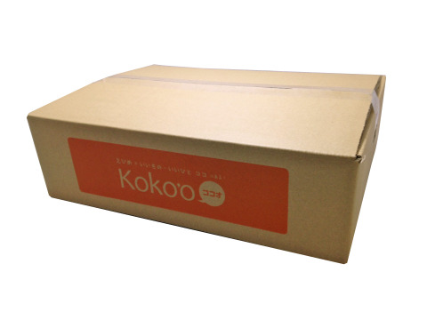 【予約】河内晩柑〈家庭用・優品〉約9kg　※発送は4月上旬頃～