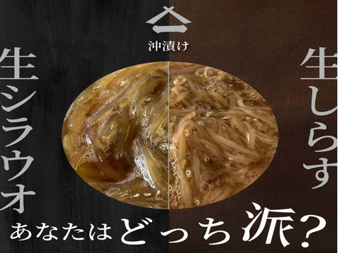 お待たせ致しました【新物】生しらすの沖漬け2p
