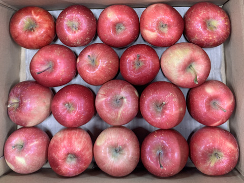 ★すぐに出荷★【加工用バラ詰め】極小玉のほのか（早生ふじ） ジュース、スイーツ、コンポート、すりおろし林檎　加工用・業務用🍎約2.7Kg　青森県産