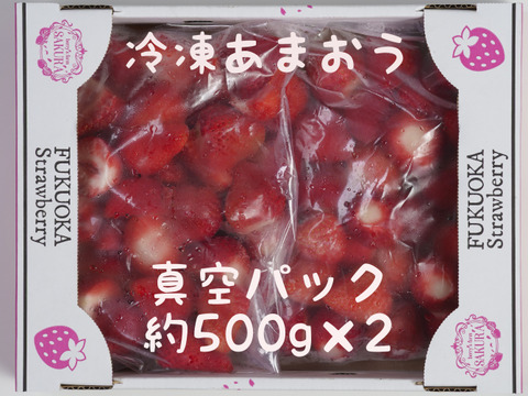 【完熟あまおう】冷凍イチゴ　500g×2パック