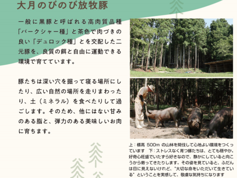 自然の中で飼育された、大月のびのび放牧豚の切り落とし肉 約1.5kg以上　(約300g×5パック)