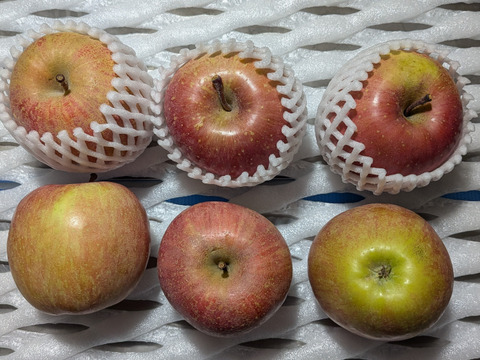 柿、リンゴ、洋ナシ